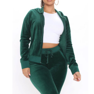 Acheter Custom Women 2 Piece Pant Set Sweatsuit Set Two Piece Cropped Zip up Hoodie and Pants Sets Velvet Tracksuit for Women 2026 - Product Image 1