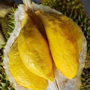 Durian frais de qualité supérieure à prix compétitif/Durian congelé - Product Image 5