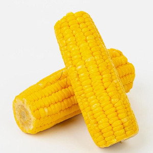 Venta caliente Maíz amarillo orgánico Maíz libre de OGM IQF Maíz dulce congelado Alimento para animales frescos secos Venta al por mayor Suministro a granel - Product Image 5