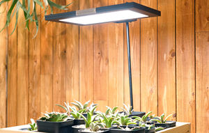 Roki 350 Panneau lumineux LED d'intérieur moderne Meilleur vendeur avec fonctionnalité réglable Coût raisonnable - Product Image 5