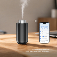 Diffuseur d'arômes de voiture rechargeable DANQ, contrôle tactile, 20 ml, sans eau, 100 m³, anti-fuite, pour chambre d'hôtel, bureau, logo personnalisé, OEM