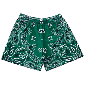 Shorts en maille pour hommes pour la salle de sport, le sport, le jogging, l'entraînement, la course à pied, le fitness, le basketball, respirants, à séchage rapide, élastiques - Product Image 4