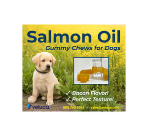 เสื้อคลุมบำรุงผิวสำหรับสุนัขและปลา - Product Image 4