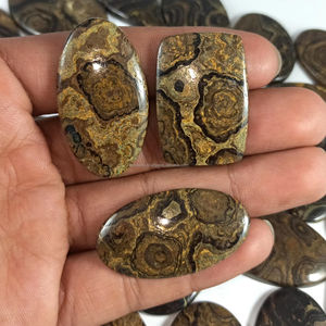 Lot en gros de cabochons de stromatolite naturelle, cabochons de guérison de différentes formes et tailles pour la fabrication de bijoux - Product Image 1
