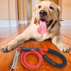 Pettorina Sportiva di Lusso Regolabile per Cani di Piccola e Media Taglia, Comoda e Sicura per Passeggiate, in Nylon Traspirante per Uso Esterno - Product Image 2