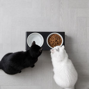 Station d'alimentation pour animaux de compagnie à double bol en acrylique portable, étanche, grande capacité, 2 plats en céramique, design moderne transparent pour chats et chiens - Product Image 2