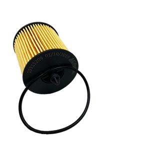 KIT DE FILTRO DE ACEITE Original para Autopartes Originales (19315209) - Product Image 1