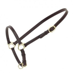 Harnais de toilettage traditionnel en cuir Joya avec ferrures en laiton, taille personnalisable, modèle 069 - Product Image 1