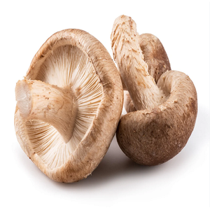 Acheter en gros des champignons frais sauvages Vente directe d'usine blanchie biologique saine Livraison rapide Champignons de haute qualité à bas prix - Product Image 6