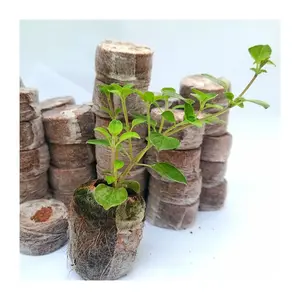 Home hydroponic system cocopeat pellets jiffy coconut peat coco pellet disc plug for gardening and farming