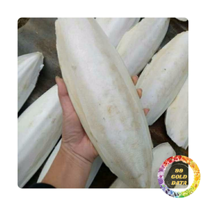 Os de seiche du Viet Nam | Séchage au soleil | Grande source de calcium et remède naturel | Fourniture en vrac - Product Image 3