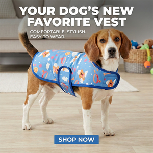 Abrigo para Perro Azul con Estampado de Hueso de Cachorro de Dibujos Animados, Ligero, Cómodo, Duradero, Ropa de Invierno Elegante para Perro - Product Image 3