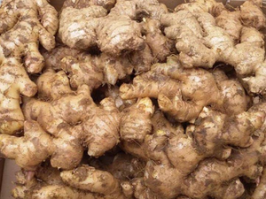 ขิงสดเวียดนามคุณภาพสูง ยี่ห้อ 99GD ขายส่งจำนวนมาก อายุการเก็บรักษา 3-6 เดือน สำหรับใช้ในอุตสาหกรรมอาหารและเครื่องดื่ม ในราคาส่งออกที่เหมาะสม - Product Image 4