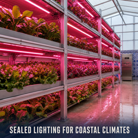 IP65 Waterdichte LED T8 Groeilampbuis Volspectrum 18W 36W 2ft 4ft Kas Verticale Boerderij Plantengroei Lamp voor Portugal