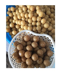 Vietnamese Pickled Lemon Lime In Salt Food Hygiene Guaranteed With High Quality For Export With Competitive - Product Image 5