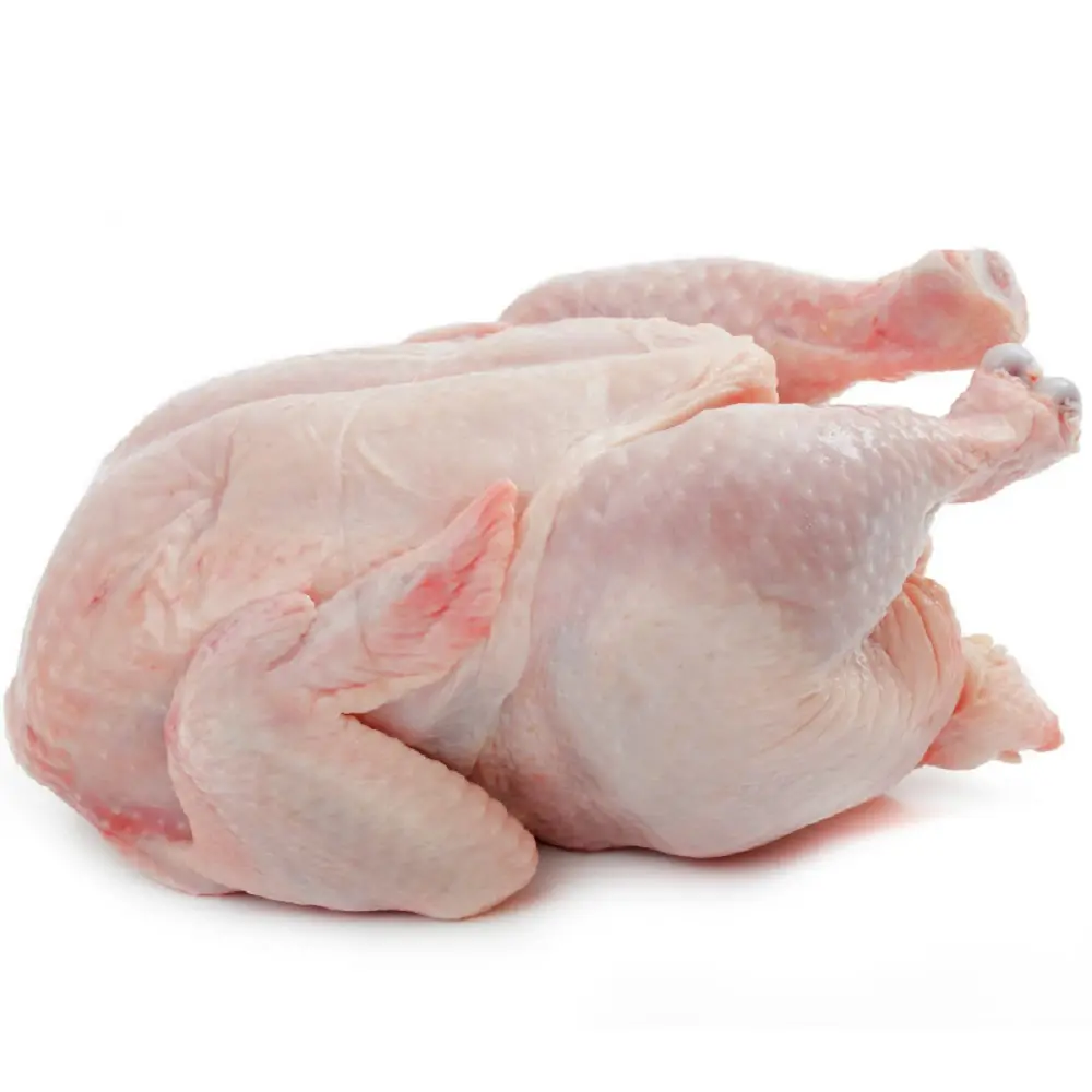 Pollo intero HALAL congelato di qualità, zampe di pollo, zampe, ali, ventagli