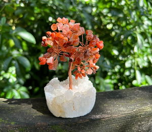 Meilleure qualité Offre Spéciale en vrac naturel poli Orange naturel cornaline arbre en pierre pour la décoration et le vastu - Product Image 2