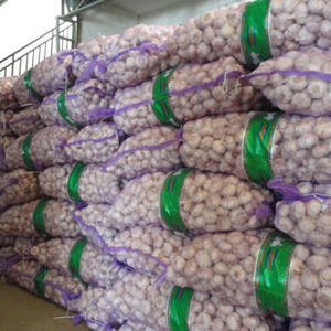 กระเทียมขาวธรรมดา 2026 กระเทียมสดใหม่ ขายส่ง ราคาถูกจากประเทศไทย - Product Image 4
