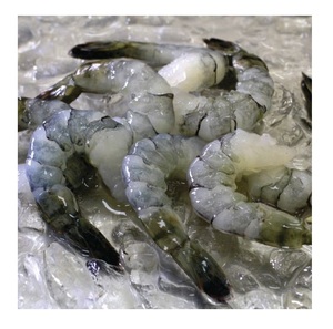 Camarones Tigre Congelados, Pelados y Desvenados - Proveedor Mayorista de Camarones Tigre PD - Product Image 6