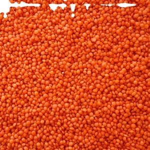Lentejas Rojas secas a granel naturales orgánicas Precio bajo Alta calidad para una cocina deliciosa y Lentejas rojas de dieta equilibrada - Product Image 1