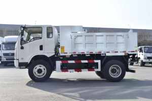 Shacman sagmoto x9s 1995 מונית/4*2 (עומס מרבי 5 טון; מהירות מרבית 105 קילומטר/שעה) דגם מוסמך - Product Image 6