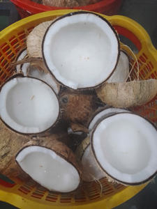 ผู้ผลิตครีมมะพร้าวในเวียดนามมอบครีมคุณภาพสูงพร้อมบรรจุภัณฑ์แบบกำหนดเองสำหรับผู้ซื้อทั่วโลก - Product Image 4