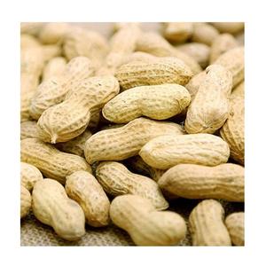High grade non-GMO natural <b>peanut</b> groundnut bulk product natural raw <b>peanuts</b> for food - Product Image 6