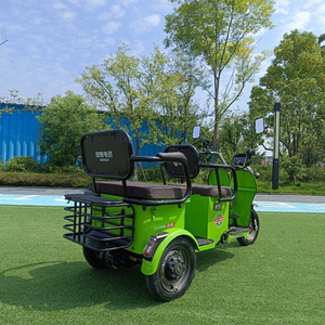 Eec Luxury <b>Electric</b> Tricycle 7500W Power <b>Pedicab</b> 1000W Differential Motor Open Body Steel Trike 60V 48V Passenger Tuk Tuk - Product Image 4