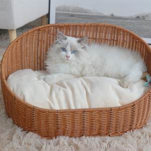 MEILLEUR PRIX Lit pour animaux de compagnie en rotin Blue Lotus 2025, fauteuil pour animaux de compagnie artisanal, élégant et durable pour un usage quotidien - Product Image 4