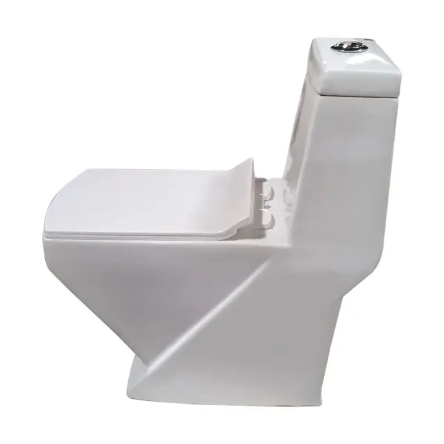 Moderno Vega-14 bianco pezzo unico in ceramica WC con ciotola S-Trap modello di drenaggio bagno Sanitaryware Bidet sedile del water
