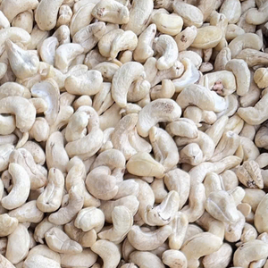 W240เม็ดมะม่วงหิมพานต์ช็อกโกแลต320จากโรงงานเวียดนาม450 - Product Image 1