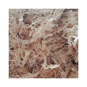 สาหร่าย Eucheuma cottonii แห้งจากเวียดนามผลิตภัณฑ์สาหร่ายคอตตอน - Product Image 6