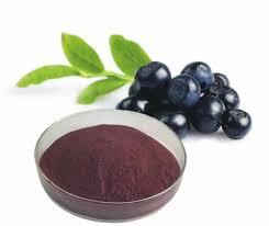 ผงสารสกัดจากบิลเบอร์รี่ธรรมชาติรองรับการมองเห็นกลางคืนและการไหลเวียนที่ดีต่อสุขภาพด้วยสารต้านอนุมูลอิสระเบอร์รี่ที่อุดมไปด้วย - Product Image 2