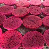 Qualité de dragon lyophilisé de qualité supérieure, meilleur fruit du dragon lyophilisé pour l'exportation et la revente Vietnam 2025 - Product Image 6