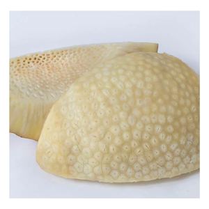 Listo para exportar fruta de pan congelada IQF, mejor oferta Frozen IQF Sake en rodajas, fruta de pan pelada congelada Proceso profundo rápido de 99 GD - Product Image 1