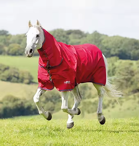 Customized Professional Horse Riding Rugs for Summer and Winter with Durable Nylon Fabric and Soft Cotton <b>Filling</b> for Wholesale - Product Image 3