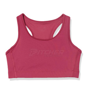 Venta al por mayor de tallas grandes transpirable simple mujeres de alto soporte sujetador de fitness con almohadillas extraíbles para gimnasio y yoga-diseño sin costuras - Product Image 2