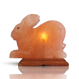 Vente en gros OEM et ODM de nouvelles lampes au sel d'animaux en forme avec sel rose de l'Himalaya décoratif pour la maison du Pakistan - Product Image 1