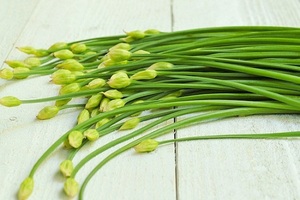 Cebollino Congelado Listo Para Usar, Ingrediente Para Fábricas de Alimentos, Restaurantes y Servicios de Catering - Product Image 3