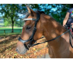 Bride en cuir de cheval 2019 de haute qualité Bride en cuir de cheval de haute qualité - Product Image 3