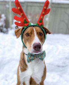 Coeur des fêtes Communauté et créativité dans la décoration de Noël - Product Image 3