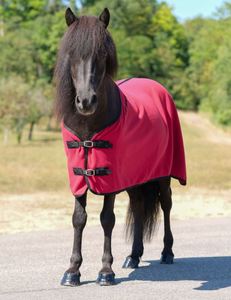 Alfombra de lana baya La alfombra transporta la humedad hasta la superficie de la alfombra. Doble correa trasera y forro suave a la cruz. - Product Image 4