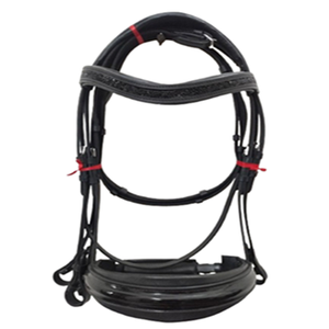 Brida de cuero con banda de cejas de cristal enrollado de calidad inigualable Acolchado suave con Riendas de tela Cuero disponible a un precio asequible - Product Image 1