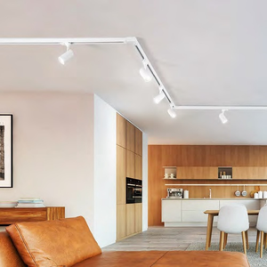 25 Watt LED theo dõi Spotlight Trắng COB 24 ° 2750 lumens ba giai đoạn thương mại theo dõi ánh sáng - Product Image 6