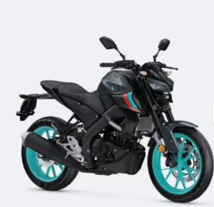 Nouvelle moto tout-terrain FAV 100% discount 2023 MT 125 - Product Image 1