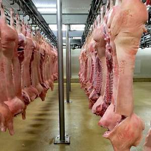 Viande de porc congelée de qualité supérieure faible en glucides à vendre Viande de porc congelée brésilienne - Product Image 3