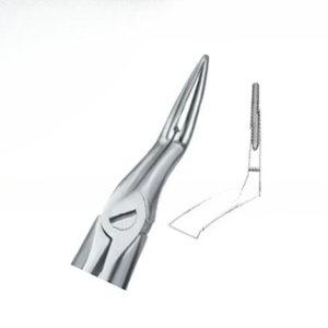 Fórceps de extracción de dientes Fig97, superventas, productos con logotipo personalizado, Instrumentos dentales de acero inoxidable de alta calidad - Product Image 6