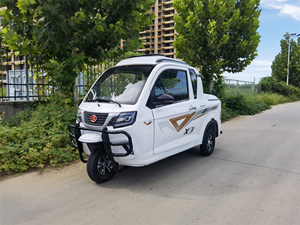 <span class=keywords><strong>Motociclo</strong></span> <span class=keywords><strong>a</strong></span> Tre <span class=keywords><strong>Ruote</strong></span> da 250cc <span class=keywords><strong>a</strong></span> Benzina Economico con Cabina per Adulti, Colori Personalizzabili, Camioncino Pickup, Moto Sportiva - Product Image 3
