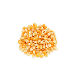 Maíz Blanco de Alta Pureza, Sin OMG, a Granel, Apto para Consumo Humano, Aplicaciones Incluyendo Molienda, Snacks y Alimento para Ganado - Product Image 3