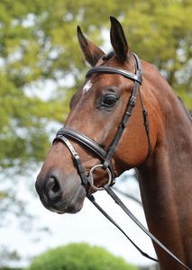 Tocado acolchado Flash Brida Venta al por mayor nueva Alta Calidad Horse Snaffle Leather Brida en negro - Product Image 2